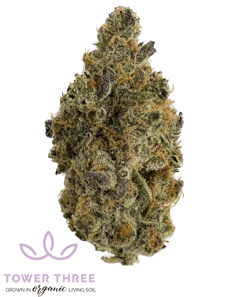 Apple Fritter: best weed strains by Tower Three LLC