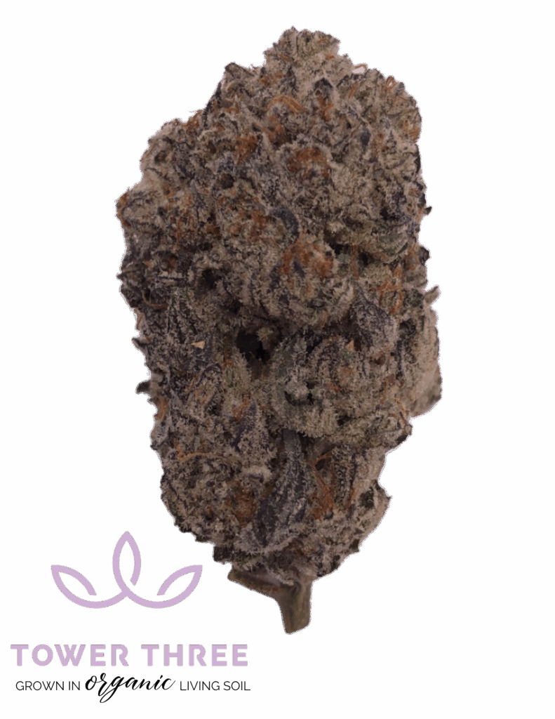 TOWER THREE Marshmallow OG